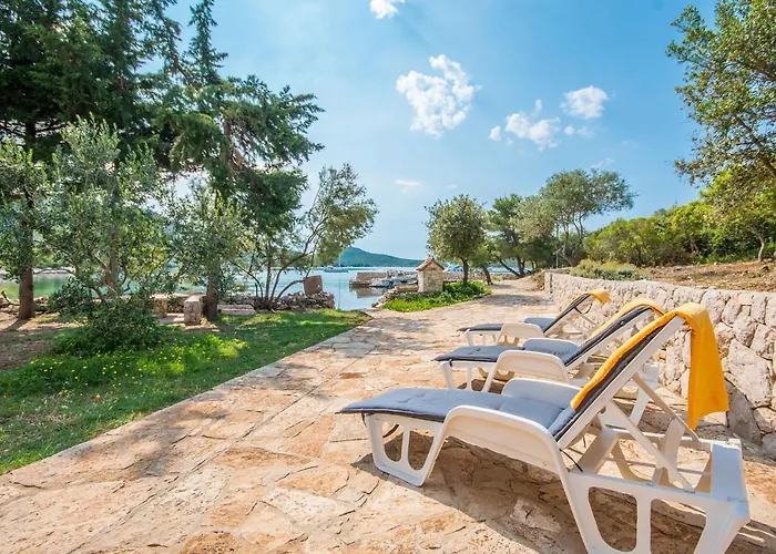 House Uncle Simon * Пашман