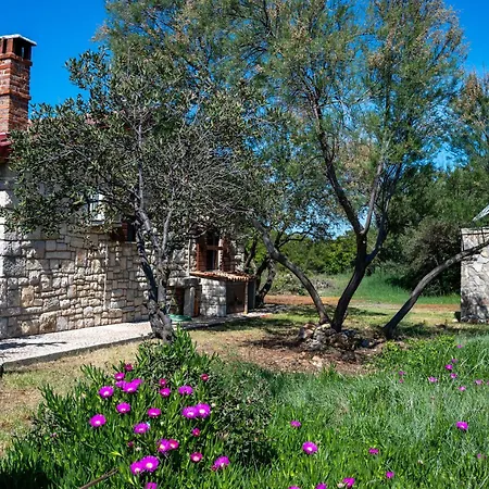 Prázdninový dům House Uncle Simon Pašman